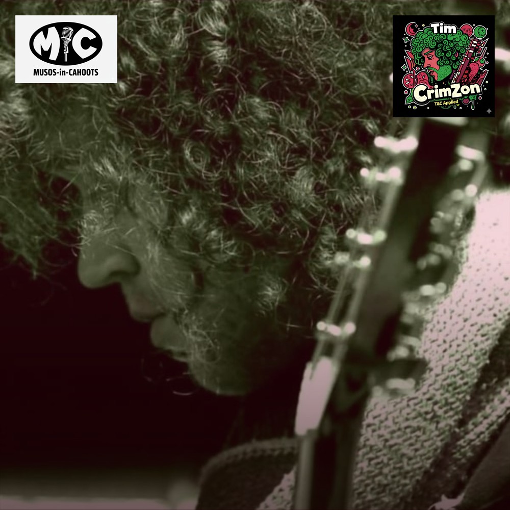 Tim CrimZon - South African Folk-Blues Alternative Rock Singer Songwriter